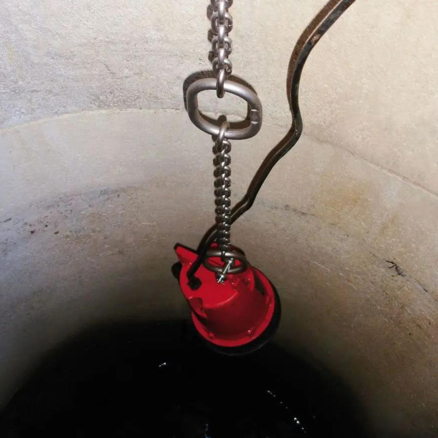 Kaede shopify 1400x1400 97746cba f28f 49b9 9e8d 38acc9a68920