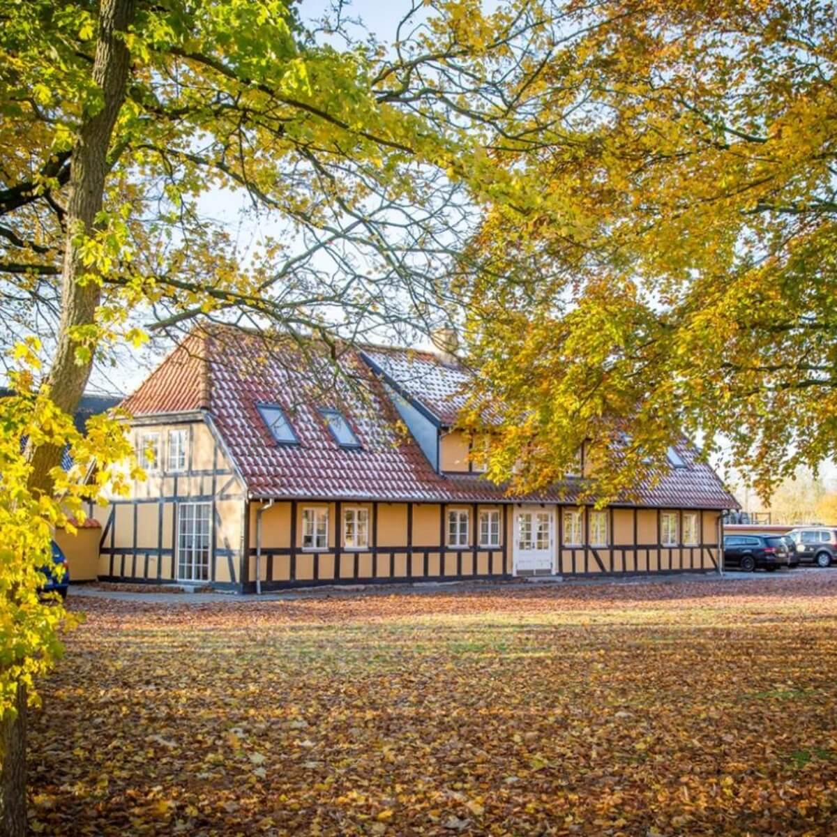 Kontakt administration fyns kran udstyr