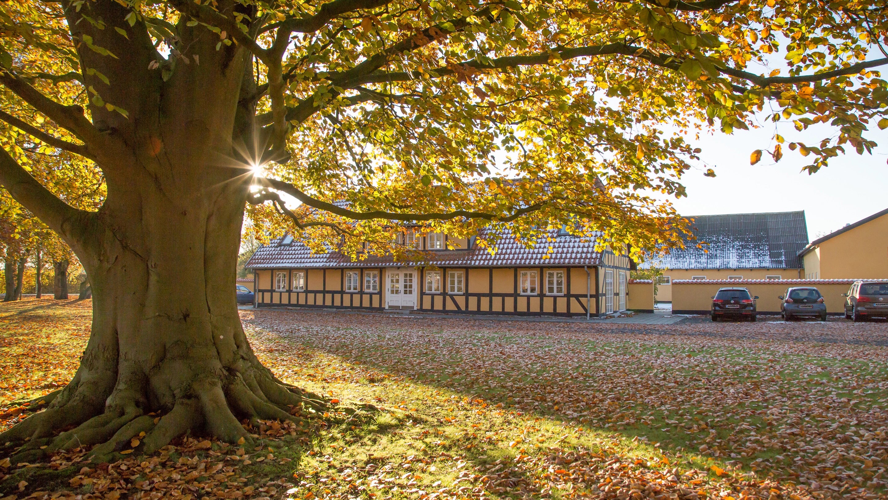 Odense fyns kran udstyr top 2