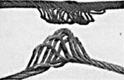 fuglereder stalwire eksempel