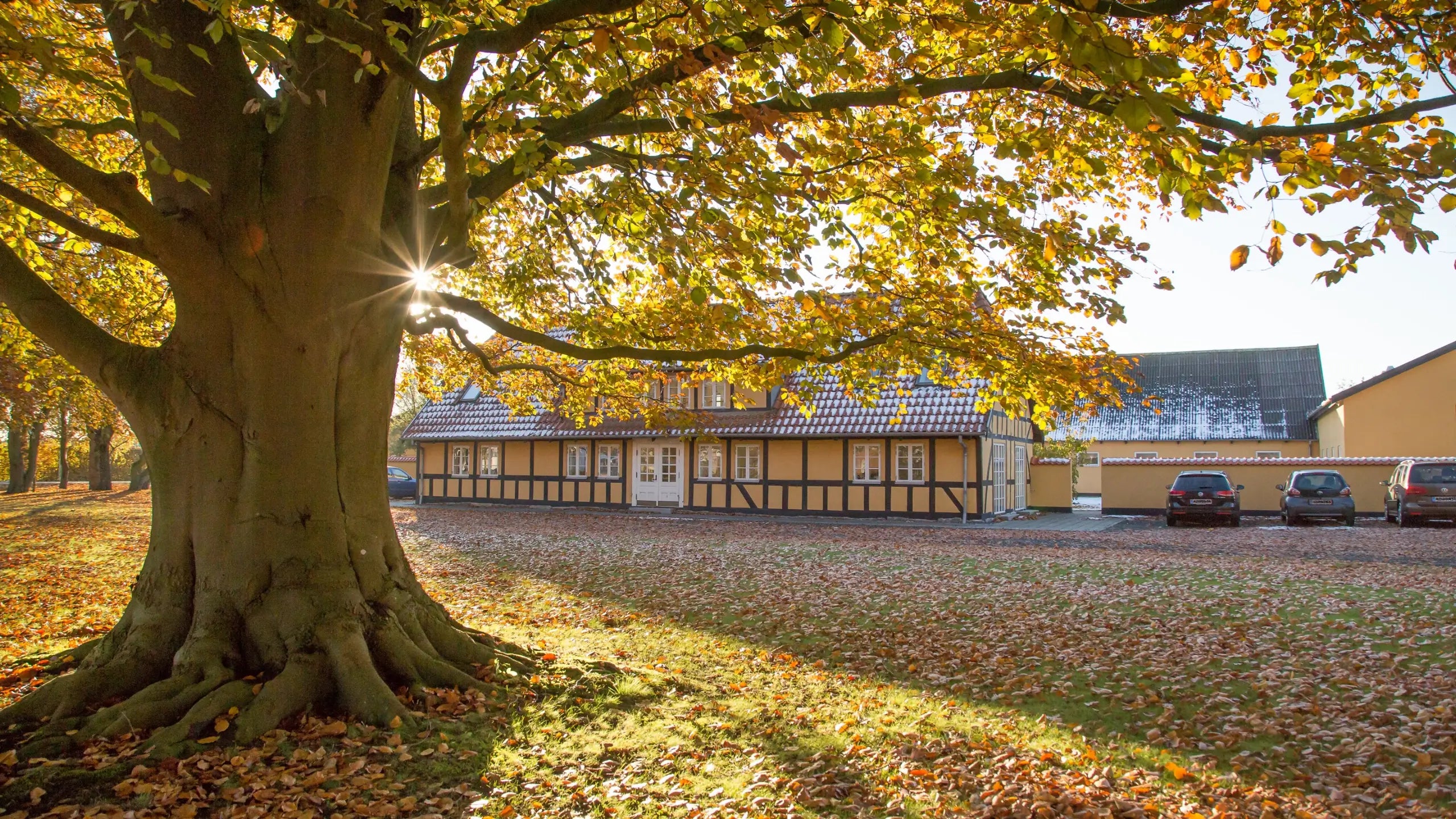 om fyns kran udstyr top QHSE